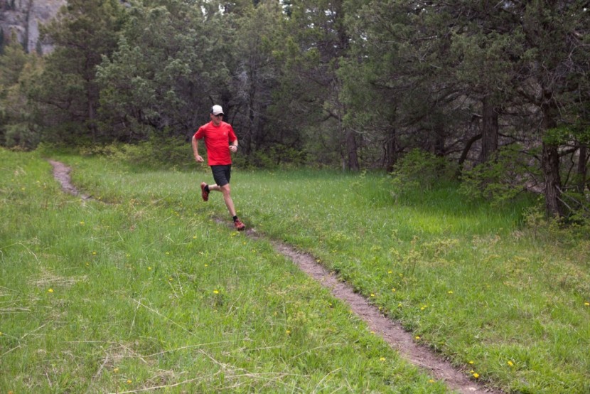 salomon fast wing tee - while our top pick winner was one of our favorites for its features...