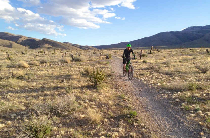 shimano m520 - the m520 pedals are so inexpensive and durable, that they work well...