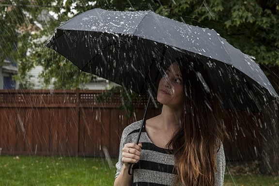 lifetek traveler compact - on days without a cloud in the sky, we turned on the sprinkler and...