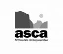 american safe climbing association