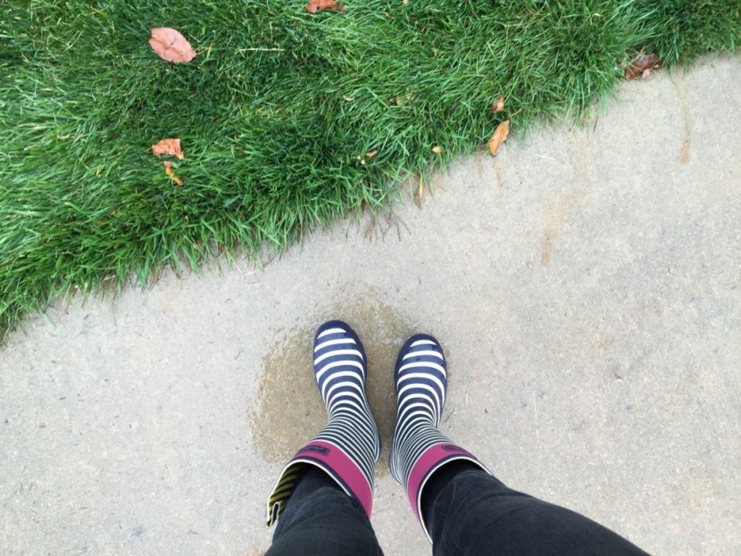 joules wellyprint - this boot will keep you dry and looking cute, but we didn&#039;t think it...