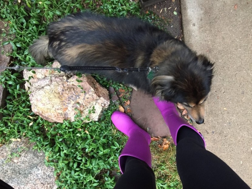 kamik jennifer - with its combination of great weather protection and good scores in...