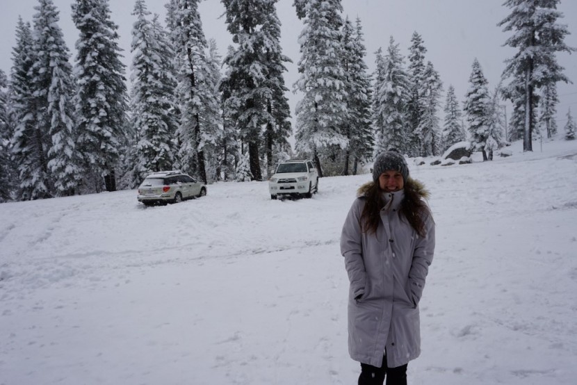 marmot chelsea down - this jacket is well-suited for cold and snowy winters, thanks to its...