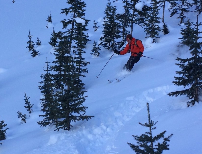 mountain hardwear torsun - fluffy powder in shady trees is how we typically spend our days...