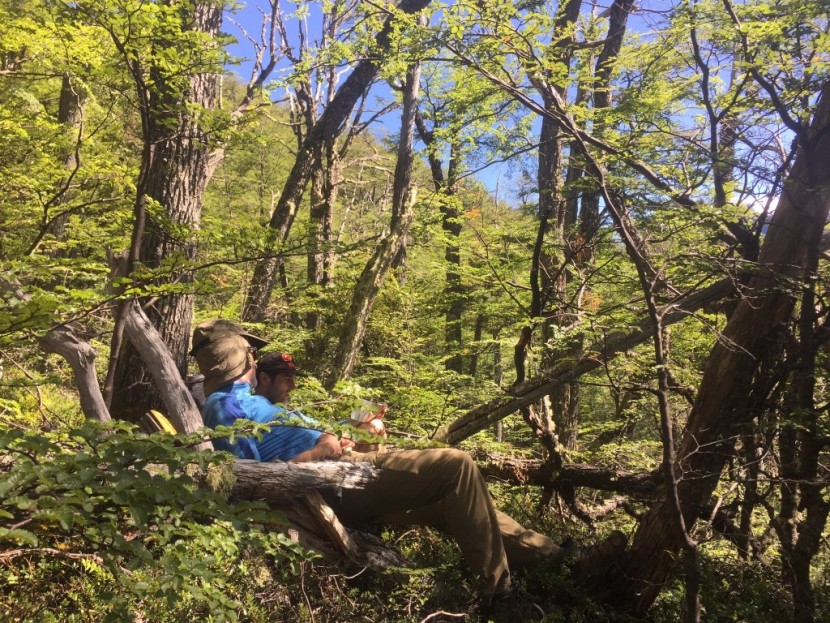 rab scree - where's the trail, again? taking a break from epic bushwhacking in...