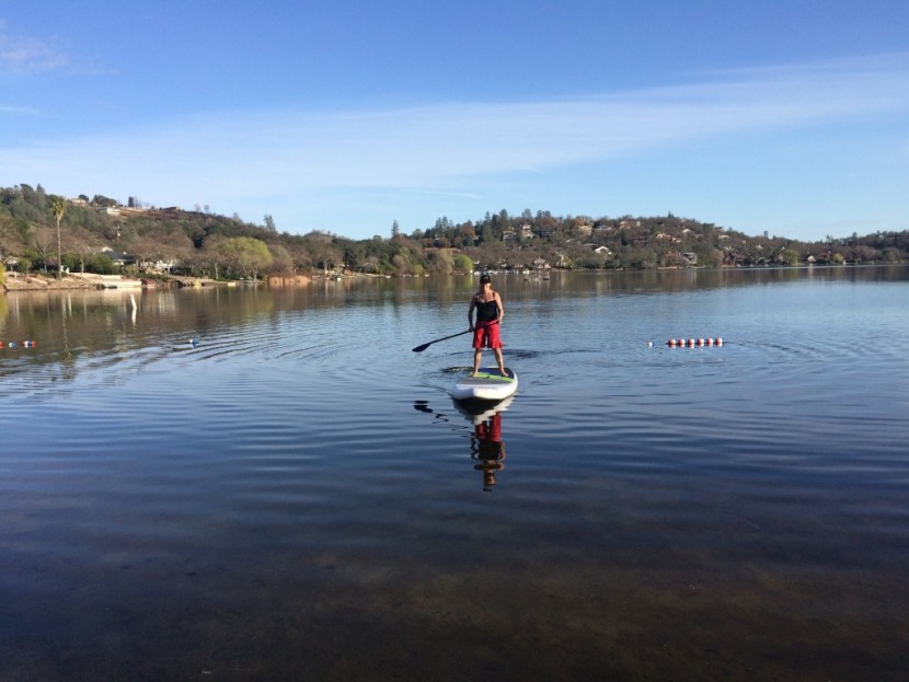 nrs baron 6 - the super stable baron 6