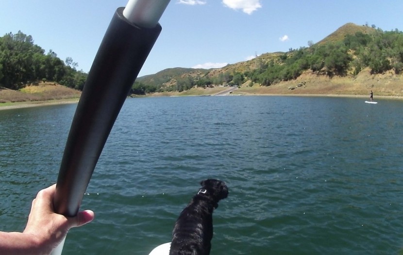 tower xplorer - the awesome foam grip that comes on the paddle that came with the...