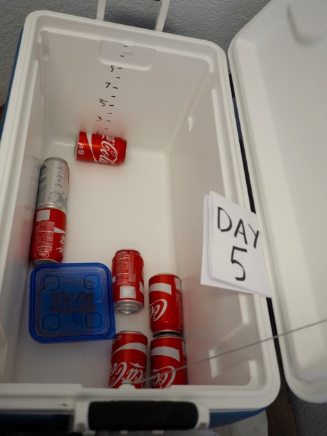 igloo max cold ultra - the max cold ran out of ice on day 4 of our insulation test, leaving...