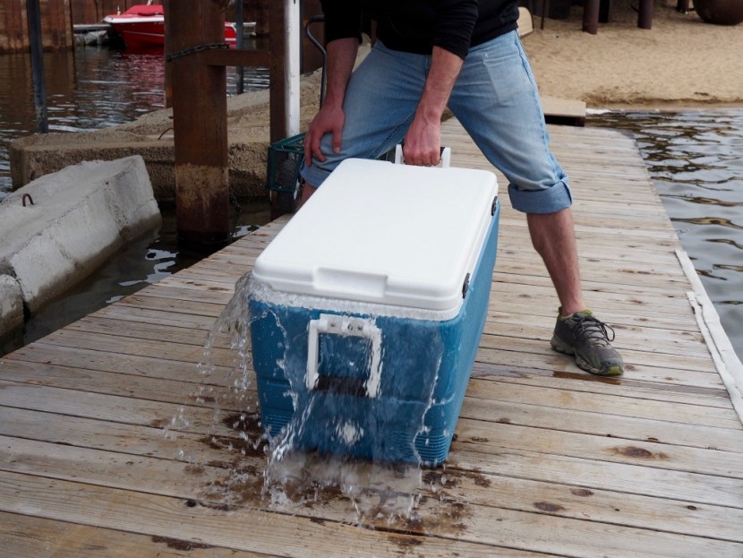 igloo max cold ultra - the max cold had the worst lid seal of any model we tested. we were...