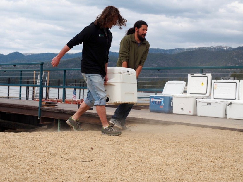 igloo yukon cold locker - the yukon's stationary, hard molded handles make some things easier...