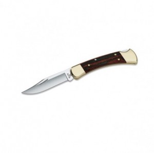 Product photo of Buck 110 Folding Hunter
