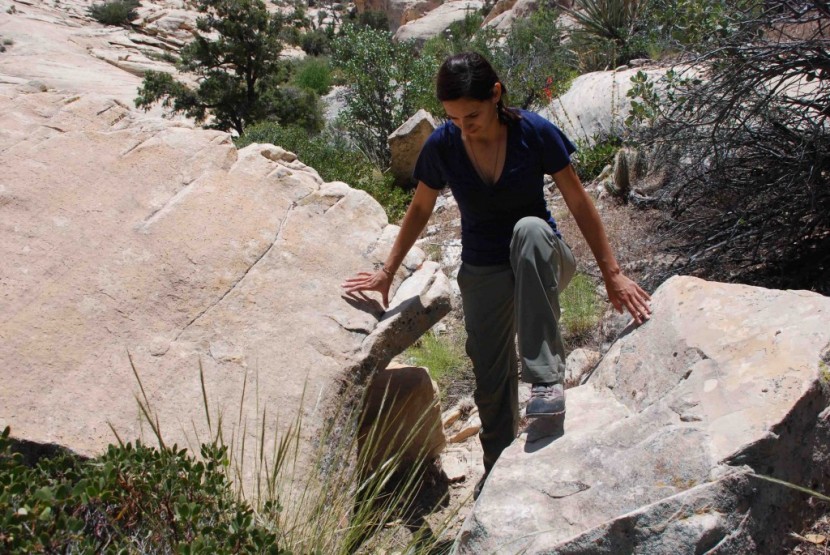 rei sahara roll-up for women - the stretchy fabric and looser legs made scrambling a breeze.