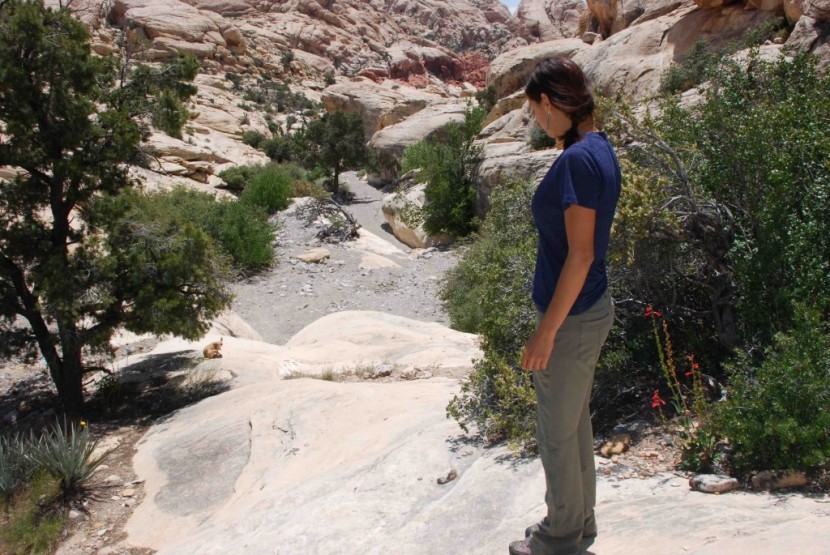 rei sahara roll-up for women - if you&#039;re heading out on a warm day for a quick jaunt without a big...