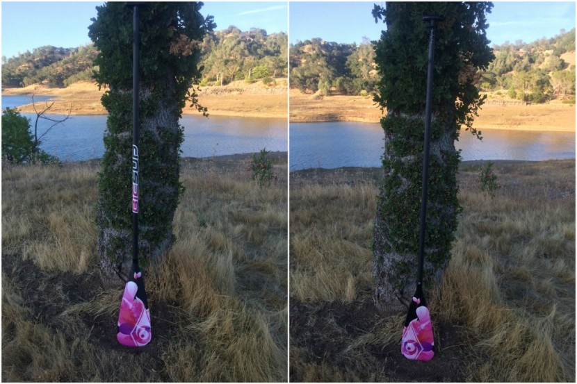 bic sup performer cf w - performer cf