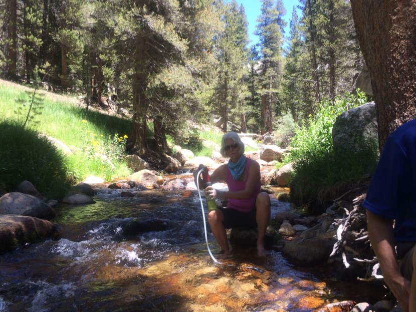 msr guardian purifier - the guardian is a great choice for group trips, especially...