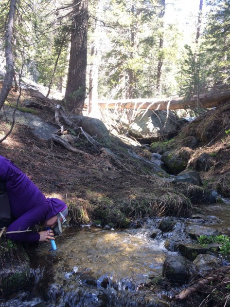 you really have to get low to drink out of sources with high banks.