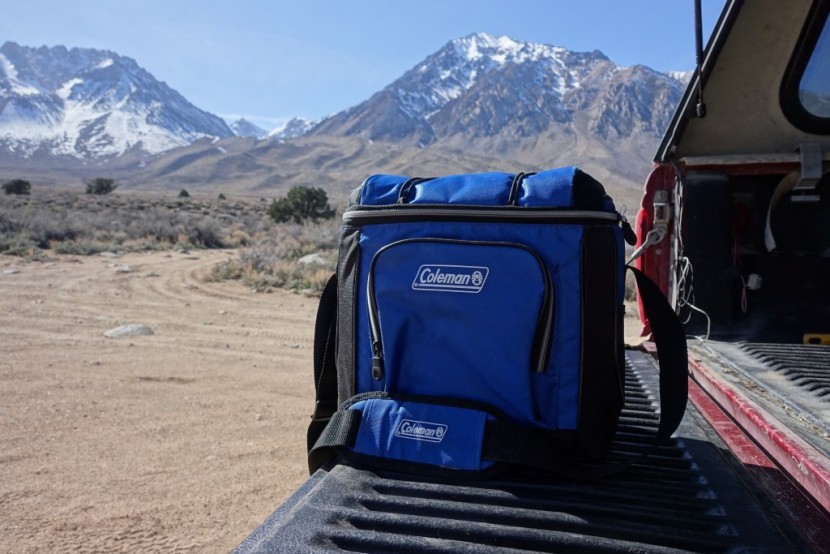 coleman 16-can - the lunchbox-style coleman 16-can.