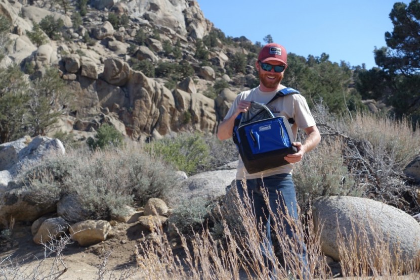 coleman 16-can - the small-sized coleman 16-can soft cooler is easy to carry.