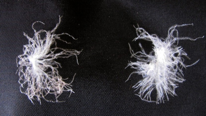 sleeping bag - here is a photo showing the negligible differences between an 850...