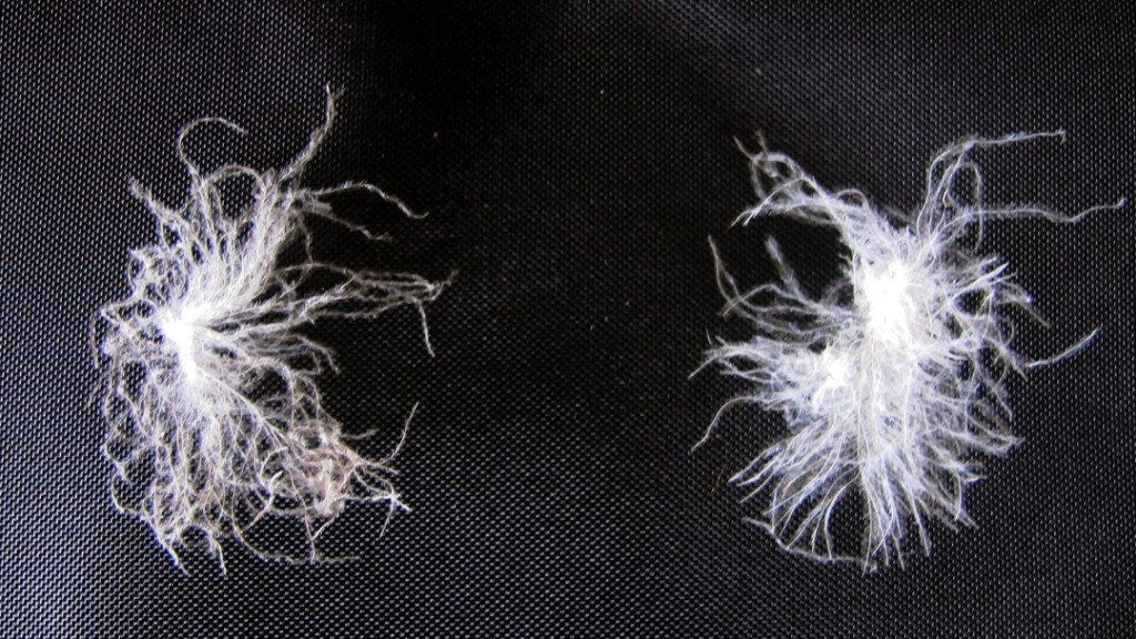 sleeping bag - here is a photo showing the negligible differences between an 850...