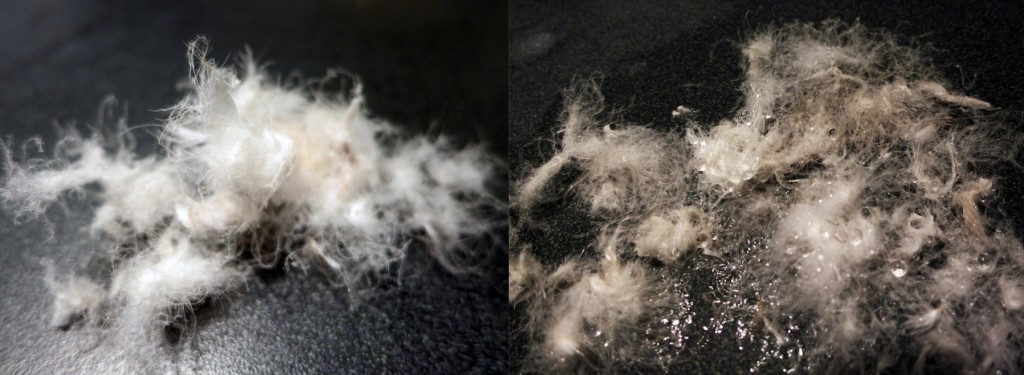 backpacking sleeping bag - we reviewed many recent studies on treated "hydrophobic" down, as...