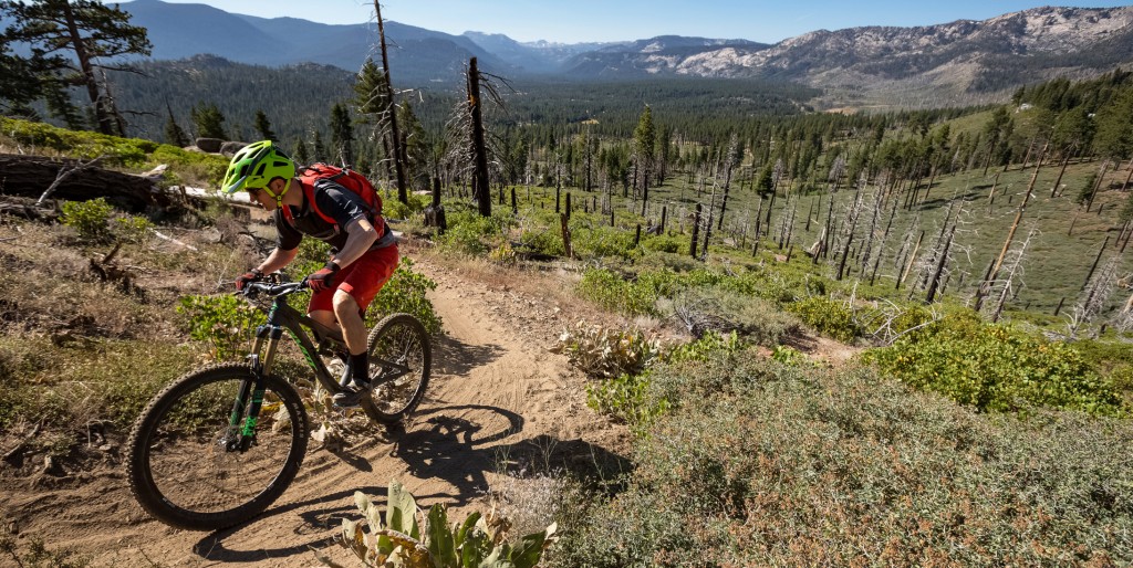 pivot mach 6 x01 2016 - the pivot has a pleasant pedaling feel, especially on smoother tracks.