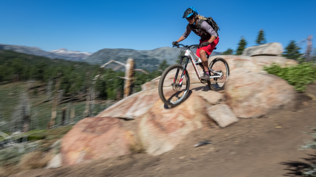 specialized enduro expert x01 2016 - the suspension is a little shaky, but it&#039;ll get you there.