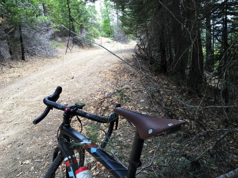 Brooks Cambium C15 Review | Tested & Rated