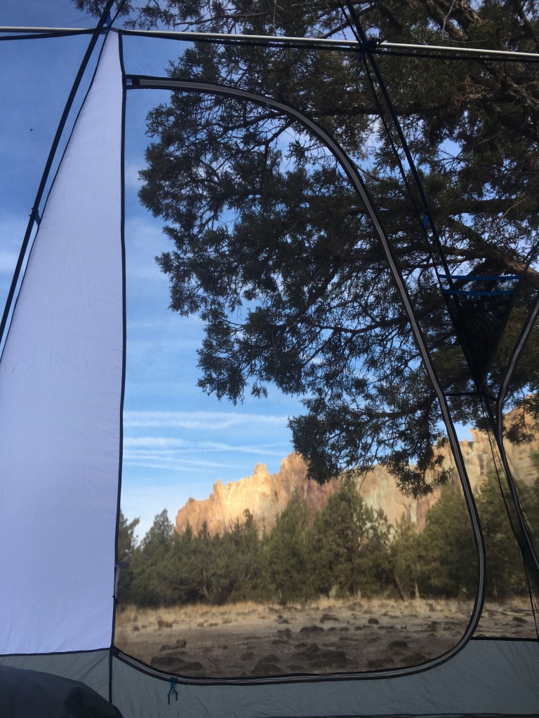 Optic 6 outlet tent