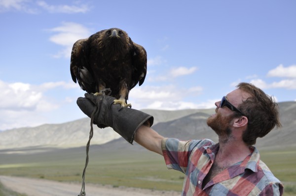 A Kazakh hunting Eagle in western Mongolia. Photo: Kyle Hardie