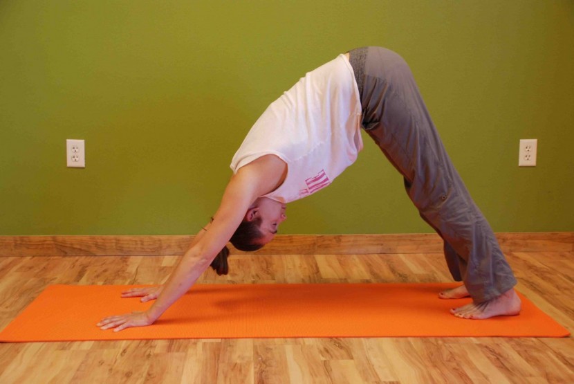 gaiam premium sticky - even in dry conditions, our hands and feet slipped in this pose.