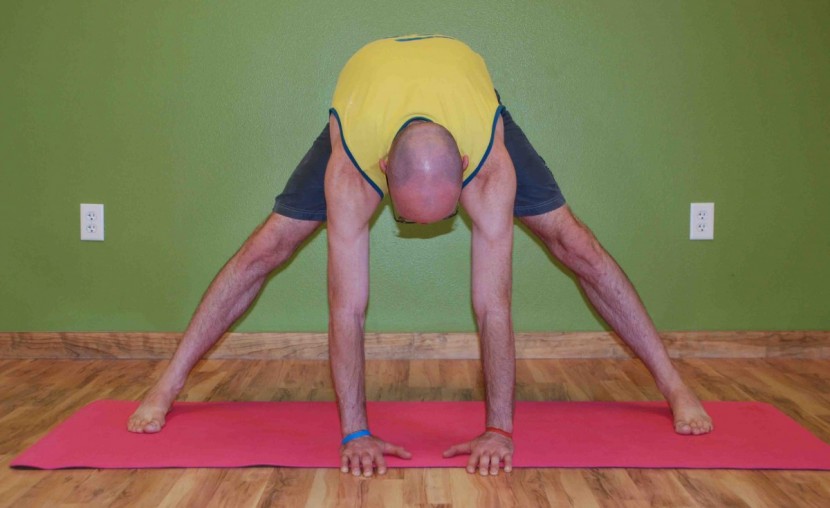 prana e.c.o. - this mat has good traction and provides a lot of cushioning while...