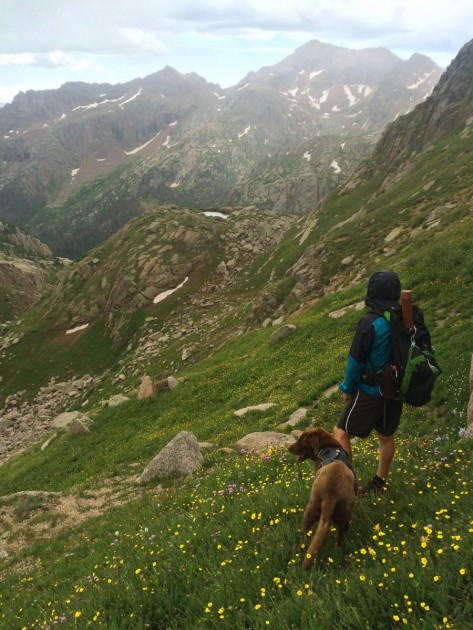 patagonia alpine houdini - the alpine houdini is really nice when you know that you are going...