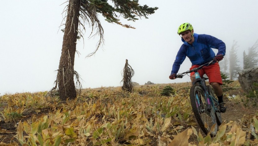 wtb vigilante 2.3 fast rolling/tough - ripping through the fog on the wtb vigilante.