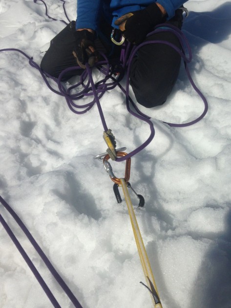 petzl attache - the petzl attache is a favorite among alpine climbers. here it is...