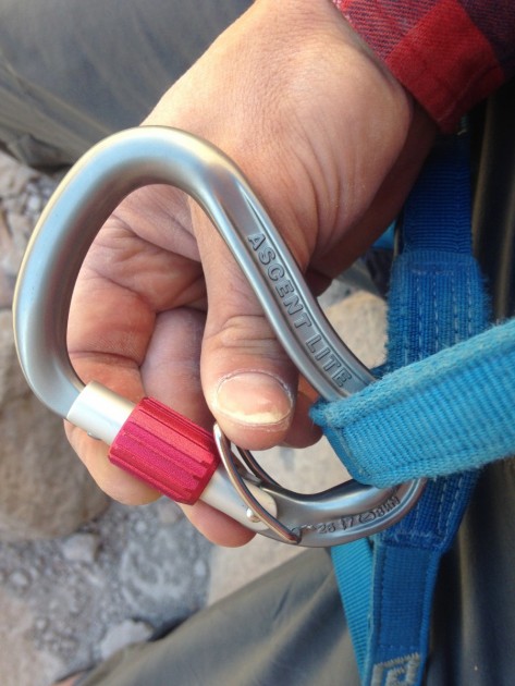 wild country ascent lite belay - most of our reviewers found the ascent lite to be awkward to clip.