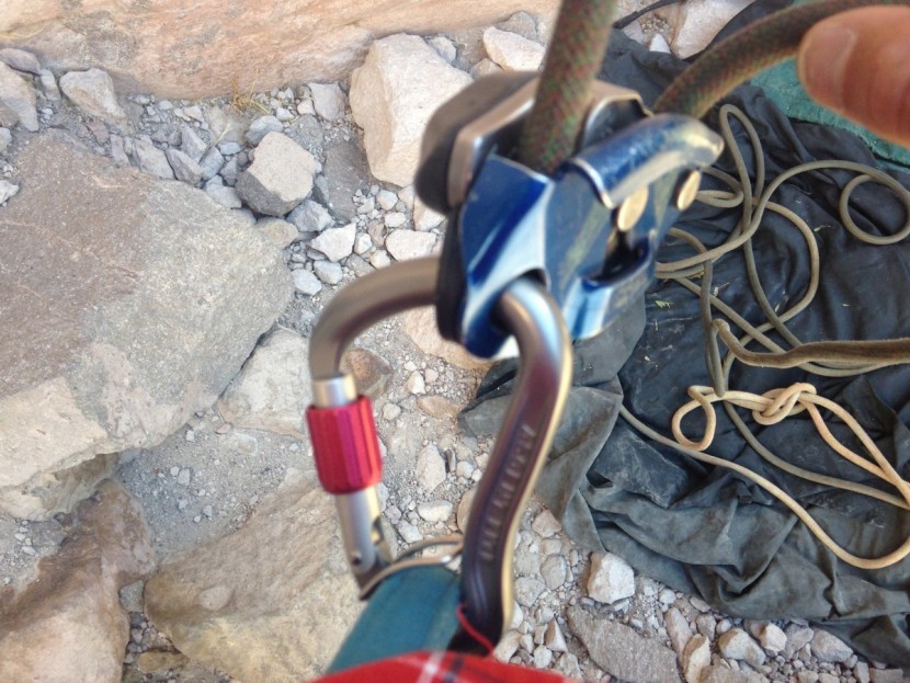 wild country ascent lite belay - the ascent lite captures the belay loop securely with a wire keeper...
