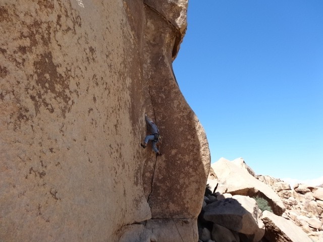 omega pacific iso standard d - cragging in joshua tree tends to be harsh on ropes and gear- best to...