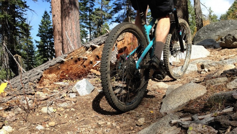 schwalbe rock razor 2.35 pacestar evo - the low-profile center tread was challenged by loose, gravely...