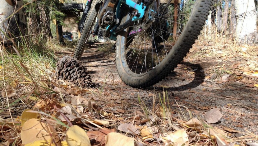 schwalbe rock razor 2.35 pacestar evo - the ultra fast-rolling rock razor will get you back to the car...