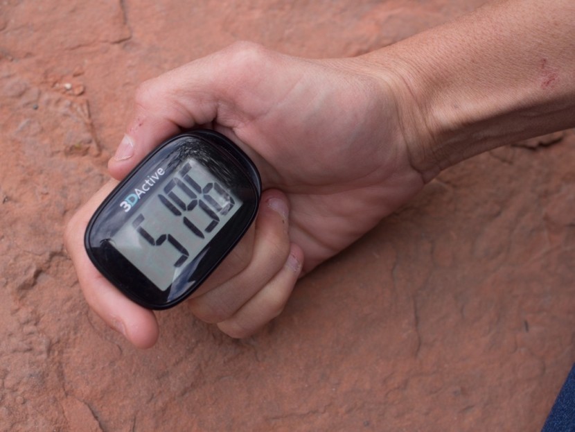 3dfitbud simple step counter - the large display of the 3dfitbud is clear and clean.