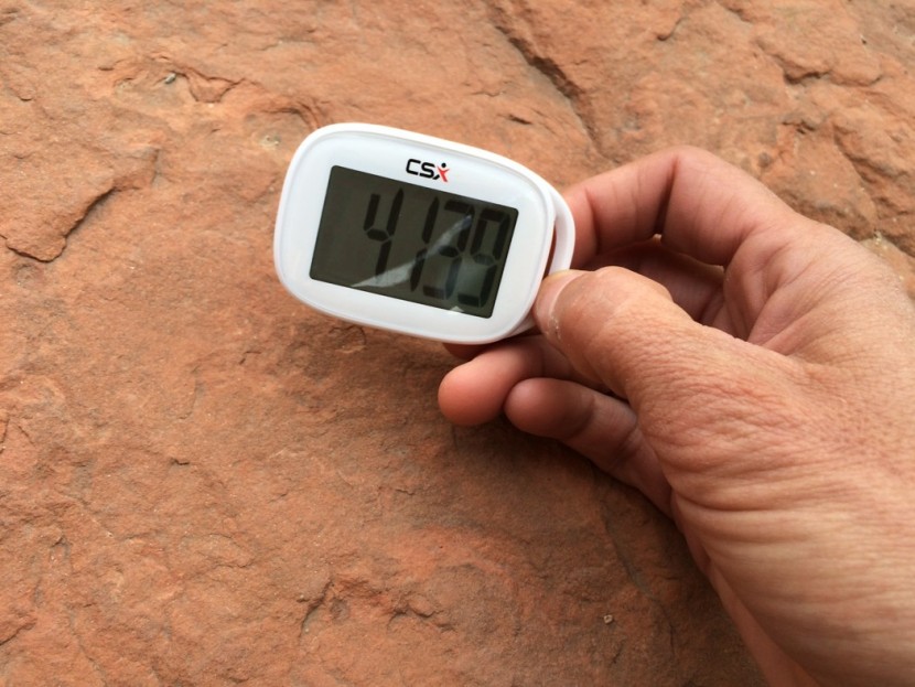 csx simple walking 3d - the large print lcd display on the csx is by far the easiest to view...