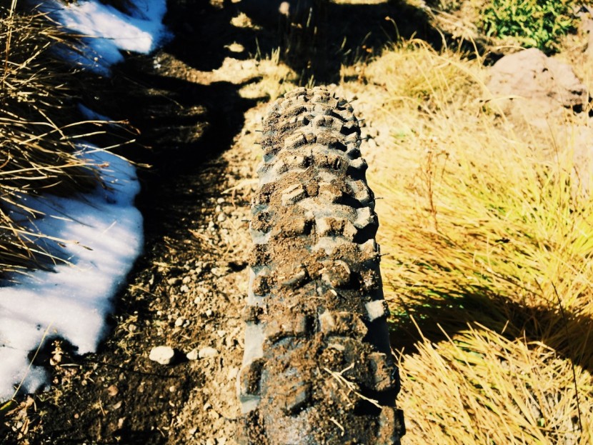 continental trail king 2.2 protection - the trail king could certainly hold its own in moderately muddy...