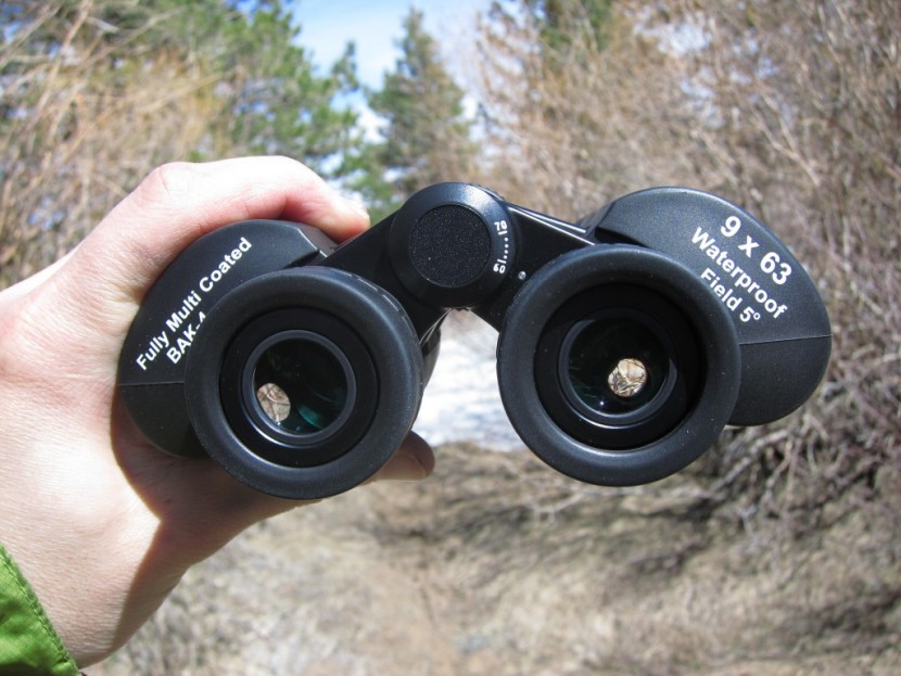 celestron skymaster dx 9x63 - the celestron skymaster dx 9x56 is excellent for low light...