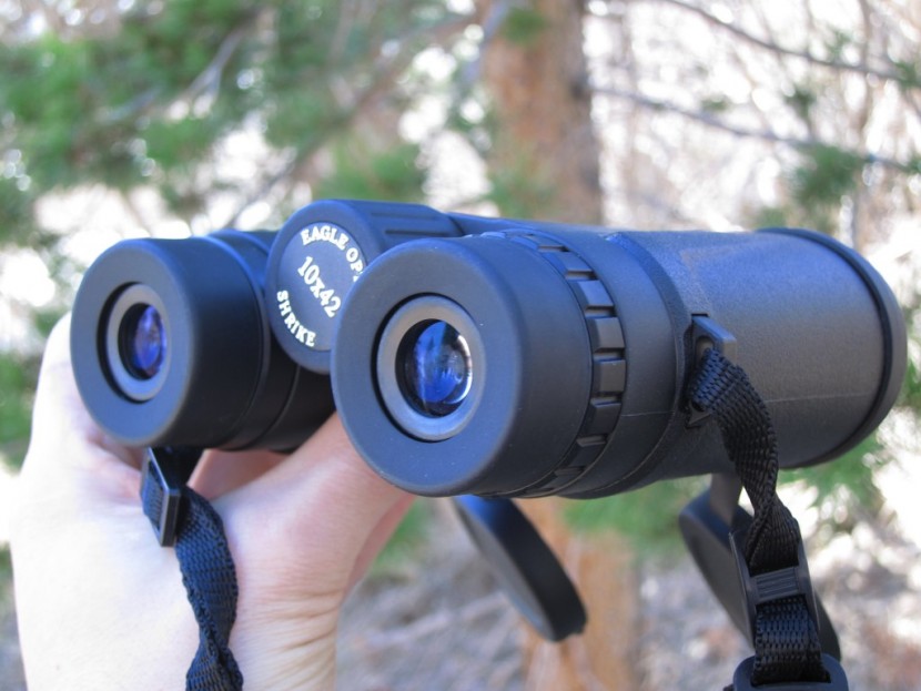 eagle optics shrike 10x42 - the eagle shrike 10x42 is a decent pair of binoculars for a low price.