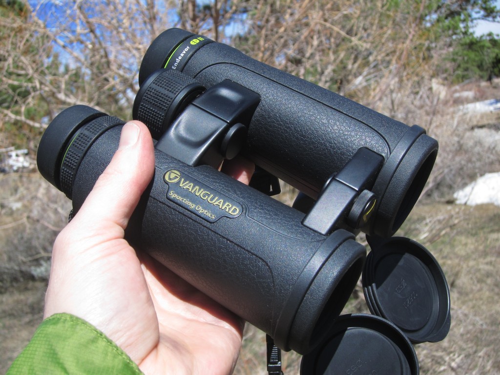 Vanguard Endeavor ED II 10x42 Review | Tested & Rated