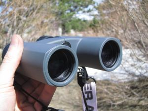 Product photo of Zeiss Terra ED 8x32