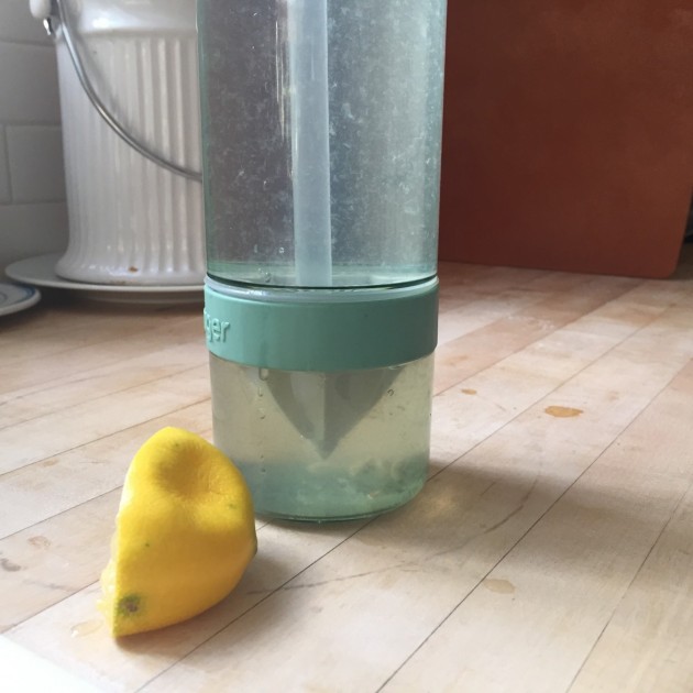 citrus zinger sport - if lemon water is your thing, the zinger is the bottle for you!