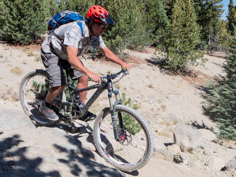 zoic prophet - the prophet can hold its own in the park