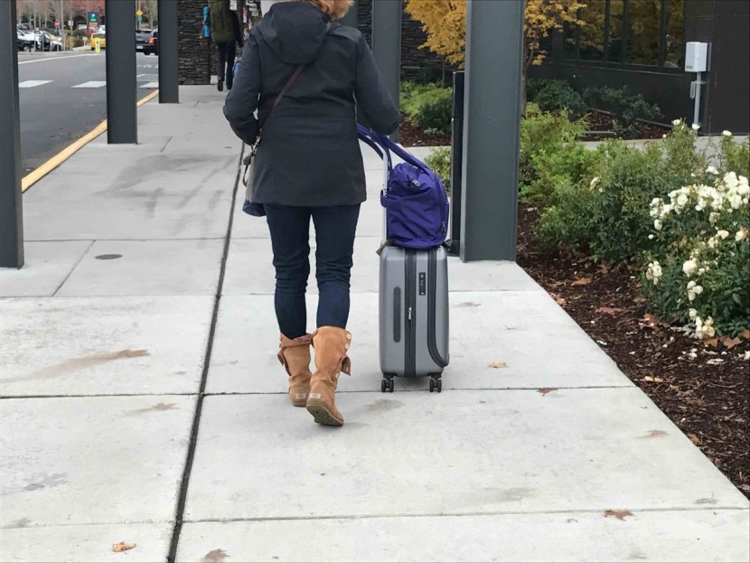 delsey shadow 3.0 21 - this bag rolls smoothly on polished surfaces and even...